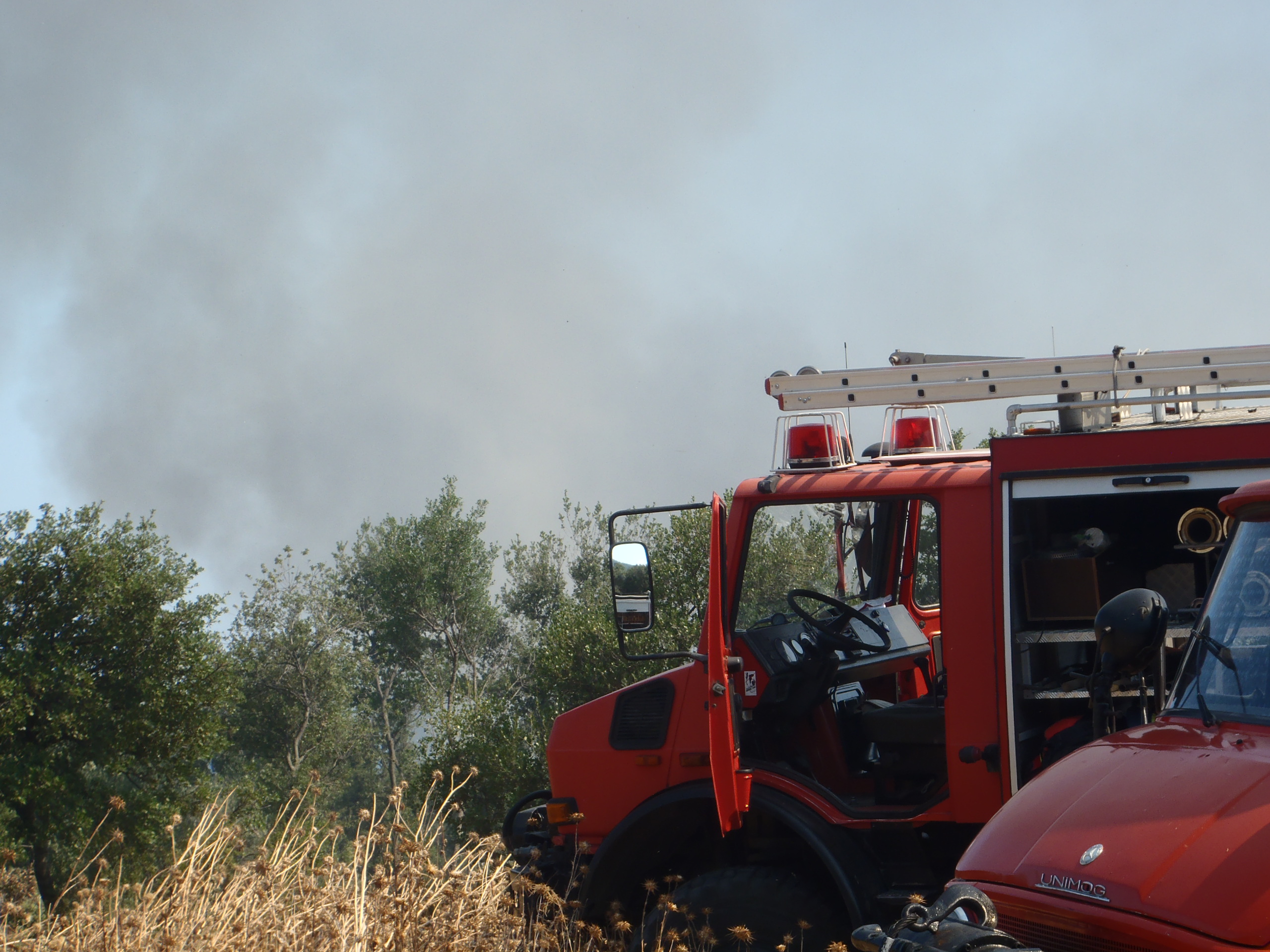 Waldbrand bei Asprovalta/Nordgriechenland